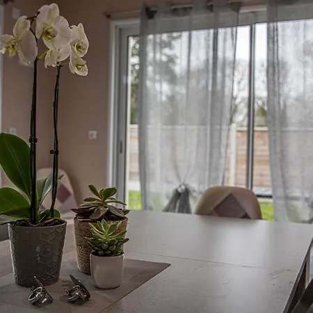 Feriehus Kokana Modern *